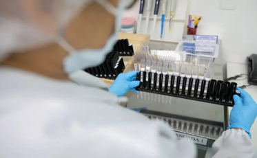 Vacina 100% brasileira contra a malária avança e terá primeiros testes em humanos
