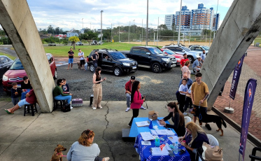 Núcleo de Bem-Estar Animal implanta modelo de castração e amplia número de vagas em Criciúma