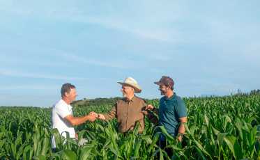 Plano Safra 2025/2026 disponibiliza R$ 68 bilhões para fortalecer a agricultura familiar e produtiva
