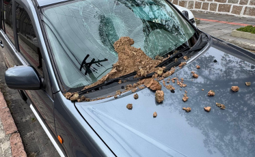 Ventos fortes derrubam casinha de joão-de-barro e por pouco não atingem mãe e filho