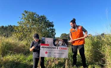 Placas de conscientização são instaladas para combater abandono de animais  em Cocal do Sul