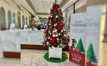 Campanha Árvore Solidária arrecada brinquedos para crianças da Abadeus