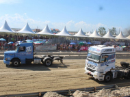 Scaini diz que prejuízo com cancelamento foi 'inestimável' | Foto: Bianca Goulart/Divulgação/4Oito