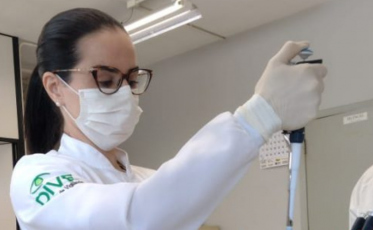 Presença de mosquito da febre amarela acende alerta em SC