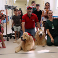 Pet Terapia leva espírito natalino e alegria às crianças internadas em Criciúma