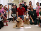 Pet Terapia leva espírito natalino e alegria às crianças internadas em Criciúma