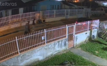 Polícia Civil conclui investigação sobre roubo de veículo com sequestro em Criciúma