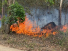 Incêndio em vegetação atinge 12 mil m² e ameaça casas em Sangão
