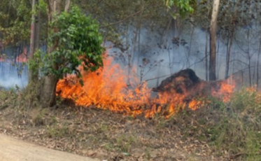 Incêndio em vegetação atinge 12 mil m² e ameaça casas em Sangão