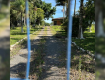 Após 30 anos, Pinheirinho vê alívio com a Central do Recomeço 