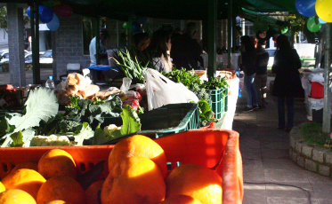 Feira da Agricultura Familiar é antecipada para a quinta-feira em Lauro Müller