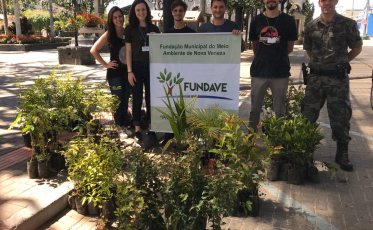Ação planta 300 mudas de árvores em Nova Veneza