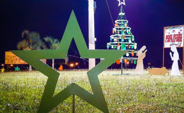 Empresas adotam rótulas com decorações de Natal em Forquilhinha
