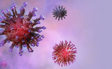 MPSC institui trabalho remoto temporário 