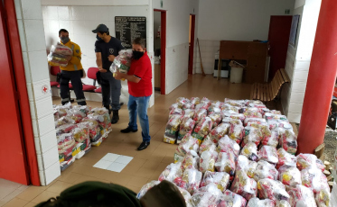 Servidores da Câmara repassam quatro toneladas de alimentos