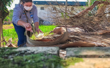 Doze focos de Aedes Aegypti são localizados em Içara