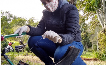 Fim da estiagem, sinal de alerta para combate ao mosquito da dengue