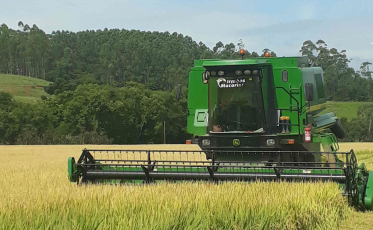 Tem Coop: distribuição bilionária de sobras em Santa Catarina