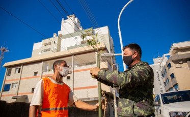 Mini ipês e extremosas são plantadas na rua Marcos Rovaris, em Içara