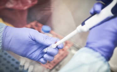 Covid-19: Na semana, quatro mortes em Siderópolis