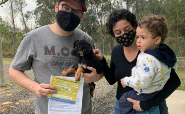 Animais encontram novo lar por meio da campanha ‘Adote um amiguinho’ em Criciúma