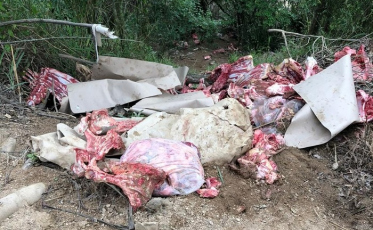 Furto e abate de animais preocupam interior de Orleans