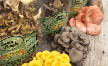 Feira da Agricultura Familiar de Criciúma registra balanço positivo em 2020