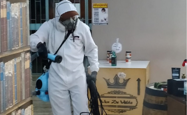 Desinsetização e sanitização: processos mais realizados em 2020 por empresas de controle de pragas