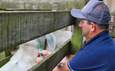 Secretaria de Agricultura conta com novo técnico veterinário