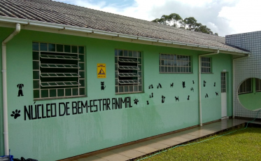 Núcleo de Bem-Estar Animal é destaque no mês de prevenção à crueldade animal