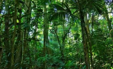 Semana Municipal do Meio Ambiente inicia na próxima quinta-feira