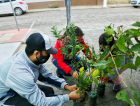 Fundação de Meio Ambiente distribui mudas nativas