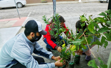 Fundação de Meio Ambiente distribui mudas nativas