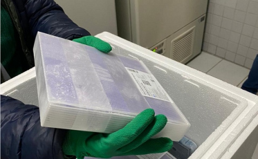 Vacinas da Pfizer começam a ser aplicadas neste sábado em Criciúma