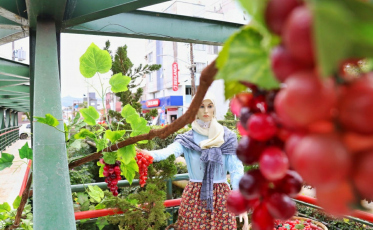 Cultura recria obra de arte que faz referência a colonização italiana 