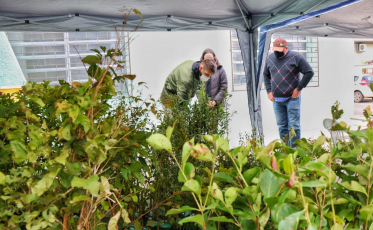 Fundave comemora aniversário com doação de mudas