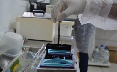 Mais uma vez, Laboratório Municipal de Morro da Fumaça atinge excelência na qualidade dos resultados dos exames