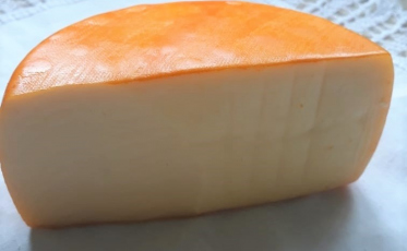 Startup criciumense desenvolve estudos para produção de bioplástico a partir do milho