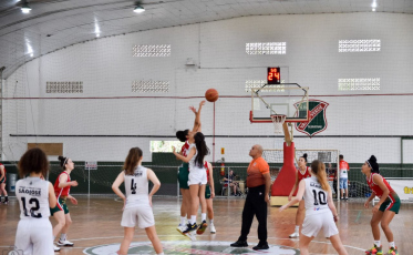 Atletas de Muay Thai, Karatê e Jiu Jitsu de Criciúma conquistam pódio em competições