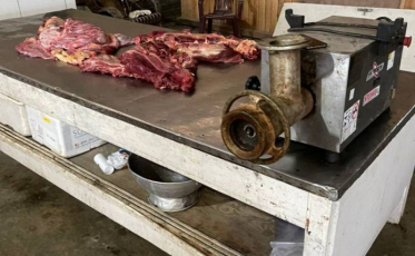 Carne de cavalo para consumo humano: Polícia prende mais seis pessoas no Sul