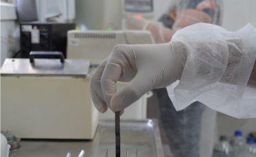 Laboratório Municipal de Morro da Fumaça atinge excelência nos resultados mais uma vez