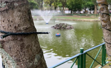 Acendimento das luzes marca início do Natal 2021 em Criciúma