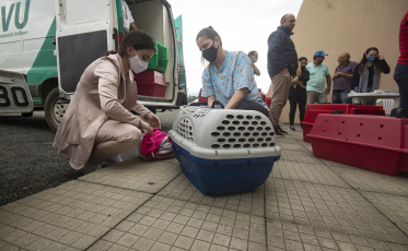 Fundave e Felinos do Aguaí realizam última etapa da campanha de castração