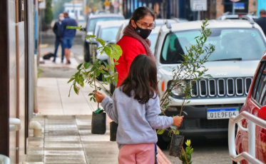 Fundave promove doação mudas de árvores nativas nesta sexta-feira