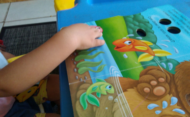 Nossa Casa quer ampliar projeto Padrinho Provedor