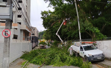 Danos da vegetação na rede é a principal causa de queda de energia no estado