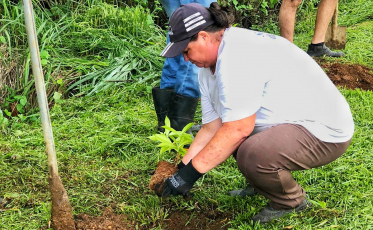 Mais de mil alamandas são plantadas em Nova Veneza