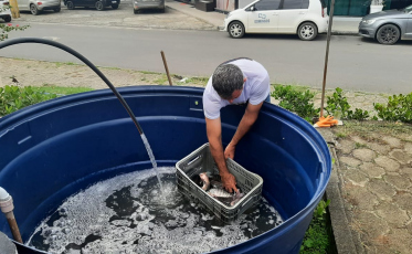 Feira do Peixe Vivo desta semana acontece sexta e sábado