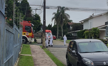 Jardineiro atacado por abelhas em Criciúma (VÍDEO)