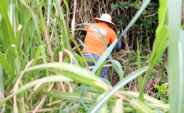 Programa Criciúma Cidade Limpa realizou a limpeza de 20 terrenos